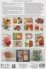 Load image into Gallery viewer, Seed Catalogue IOD Transfer 8x12 Pad
