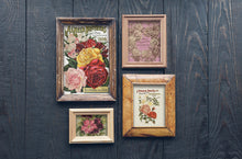 Load image into Gallery viewer, Seed Catalogue IOD Transfer 8x12 Pad
