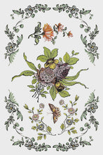 Load image into Gallery viewer, Fairytale Florals IOD Transfer 8x12 Pad™
