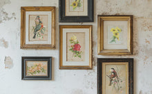 Load image into Gallery viewer, Catharina IOD Transfer 8x12 Pad™

