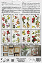 Load image into Gallery viewer, Catharina IOD Transfer 8x12 Pad™
