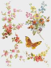 Load image into Gallery viewer, Saint Germain IOD Transfer 12x16 Pad™
