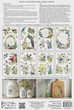Load image into Gallery viewer, Flora Greca IOD Transfer 8x12 Pad™
