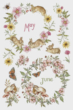 Load image into Gallery viewer, The Bramblewood Diaries IOD Transfer 8x12 Pad™

