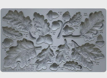 Load image into Gallery viewer, Oak Leaves &amp; Acorns 6x10 IOD Mould™
