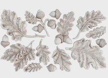 Load image into Gallery viewer, Oak Leaves &amp; Acorns 6x10 IOD Mould™
