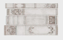 Load image into Gallery viewer, Bookish 6x10 IOD Mould™
